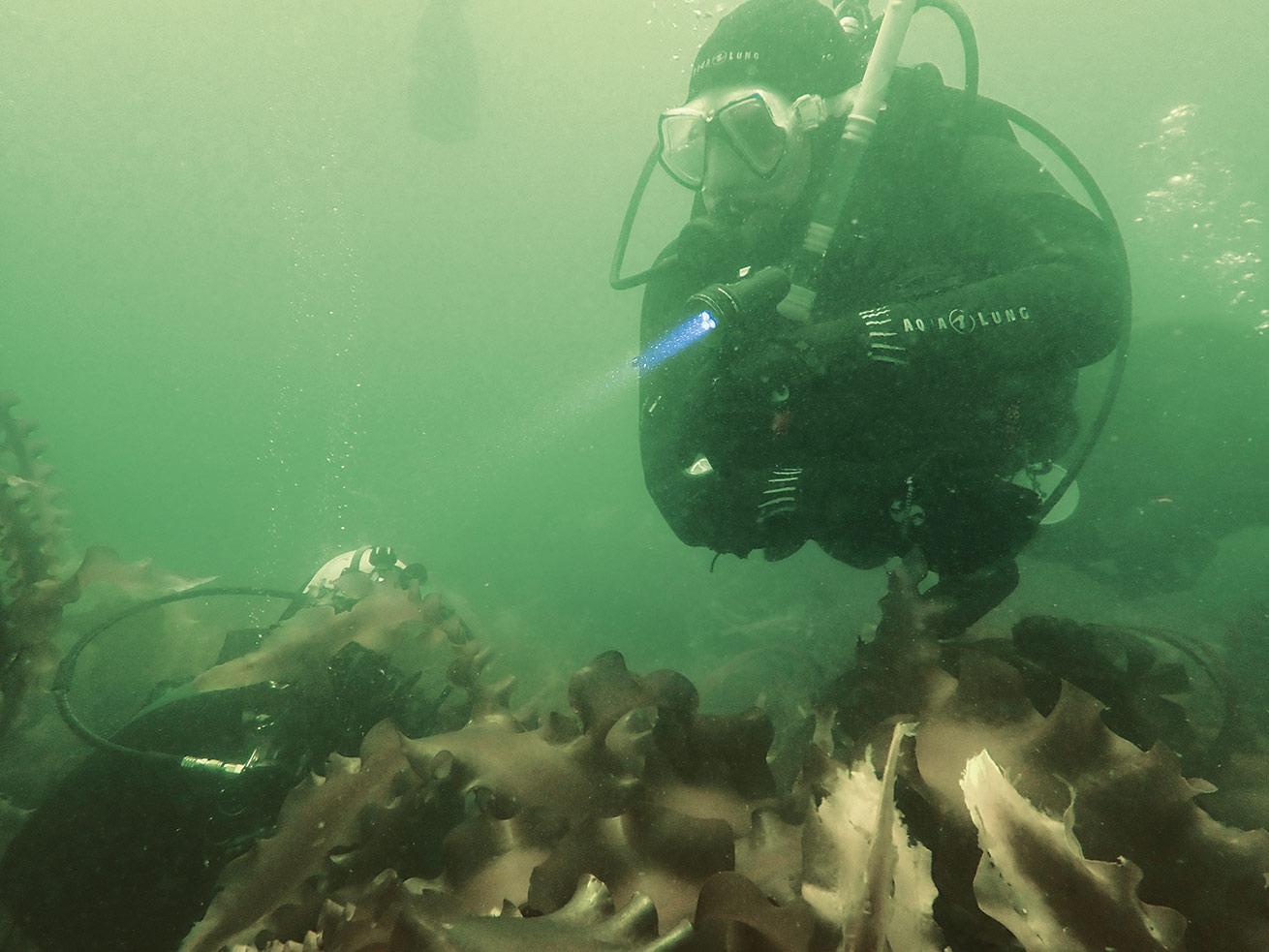 Two divers ready to find the Wandby.