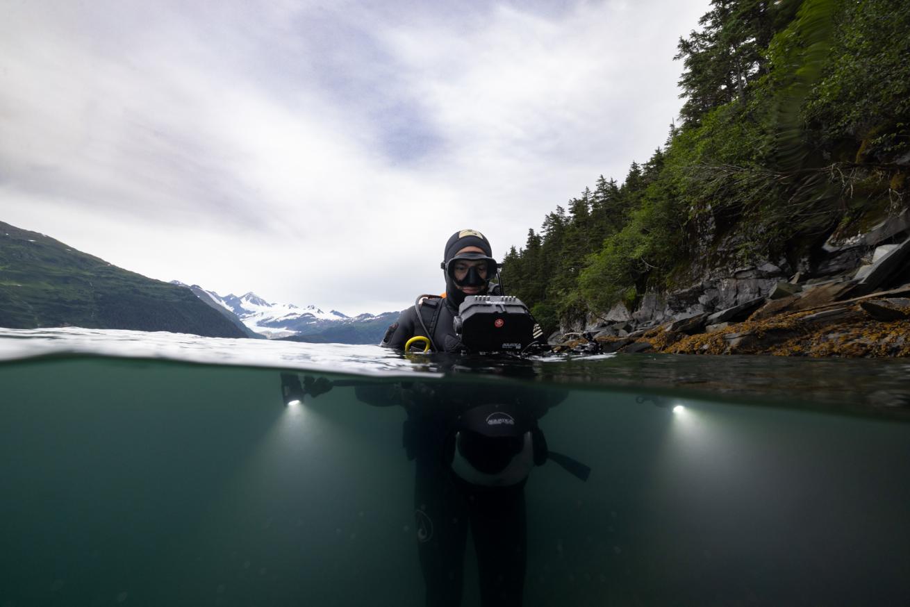 Surfacing in glacial runoff at a site covered in pycnos.