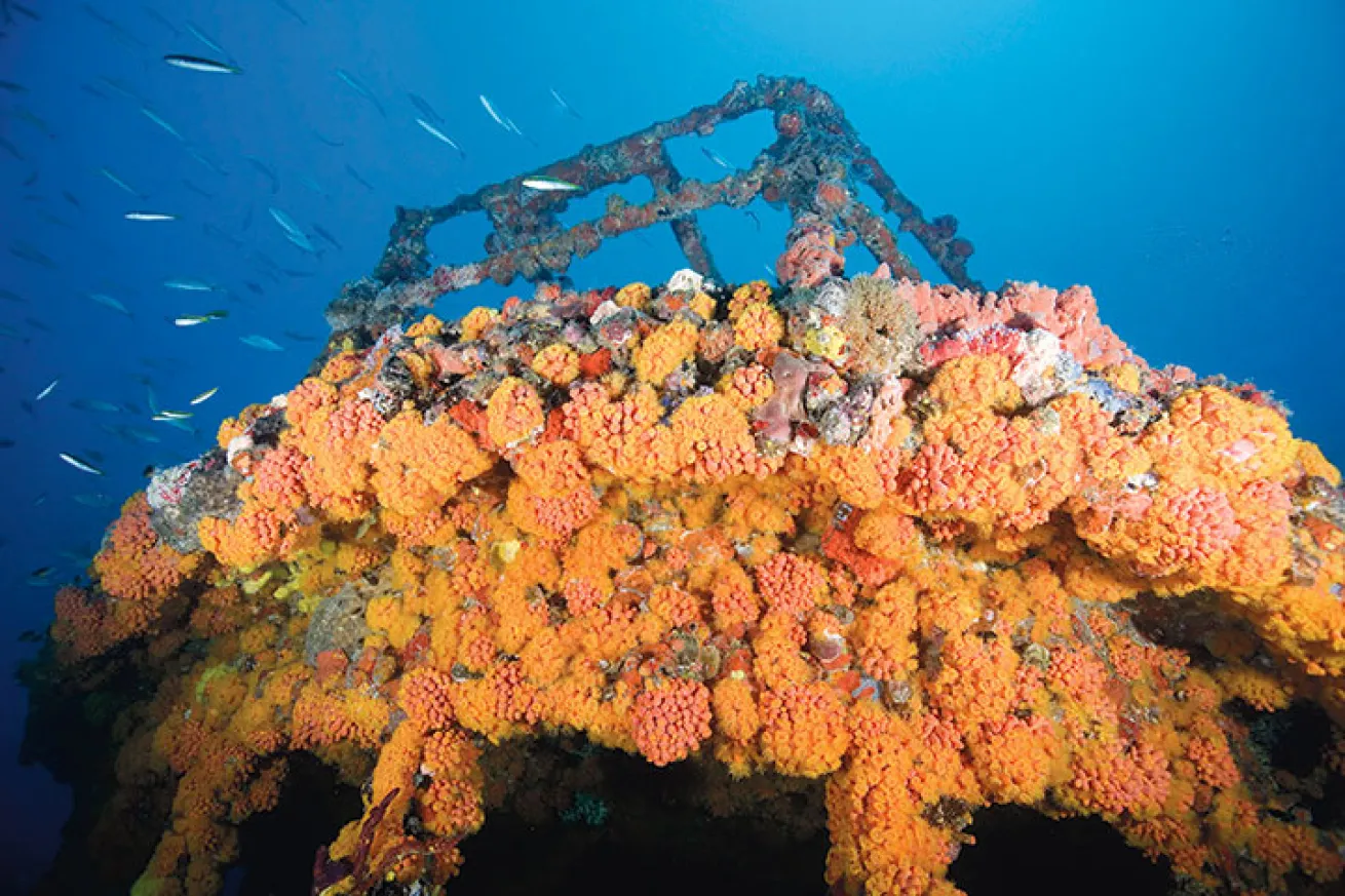 The heavily encrusted Capt. Dan