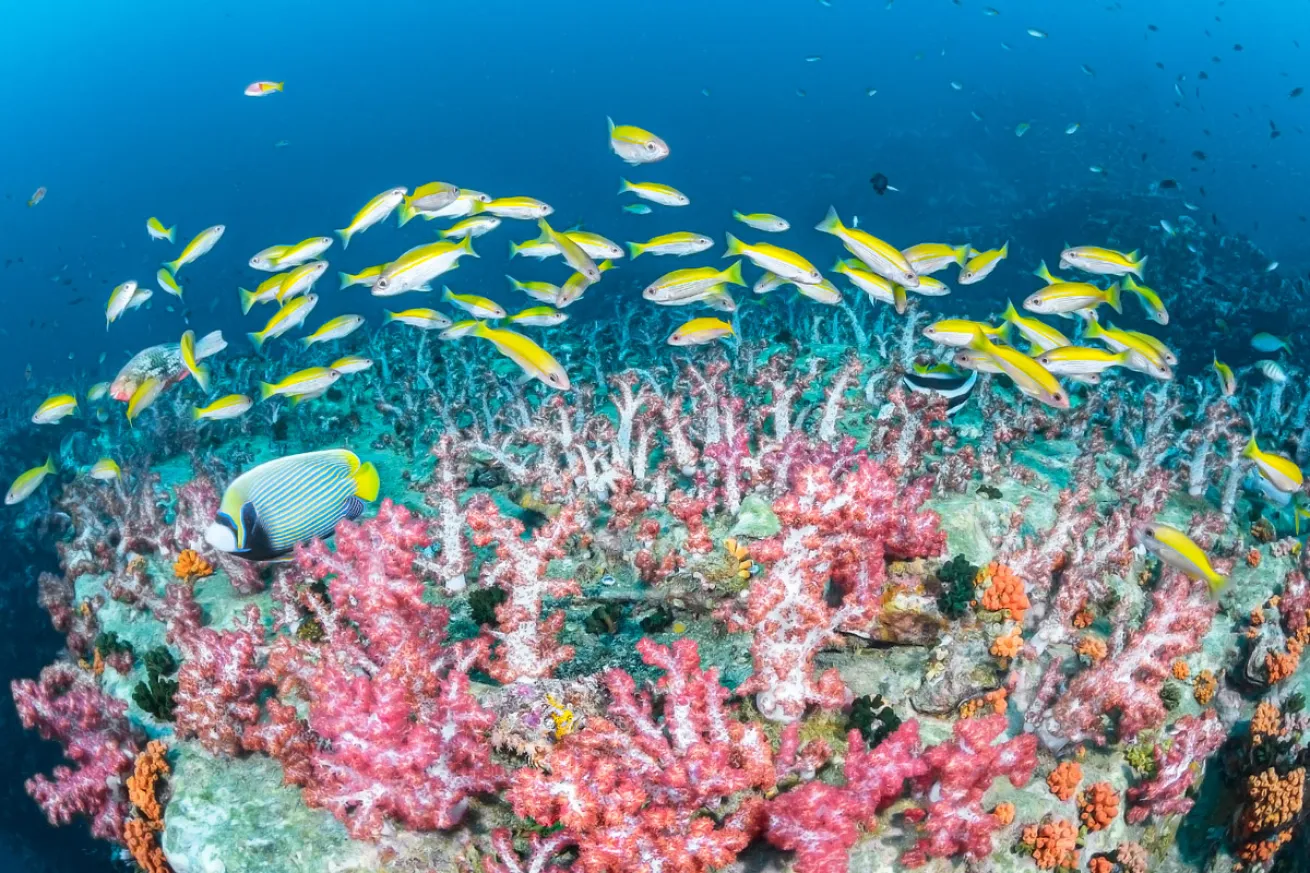 Thailand’s Tarutao National Park