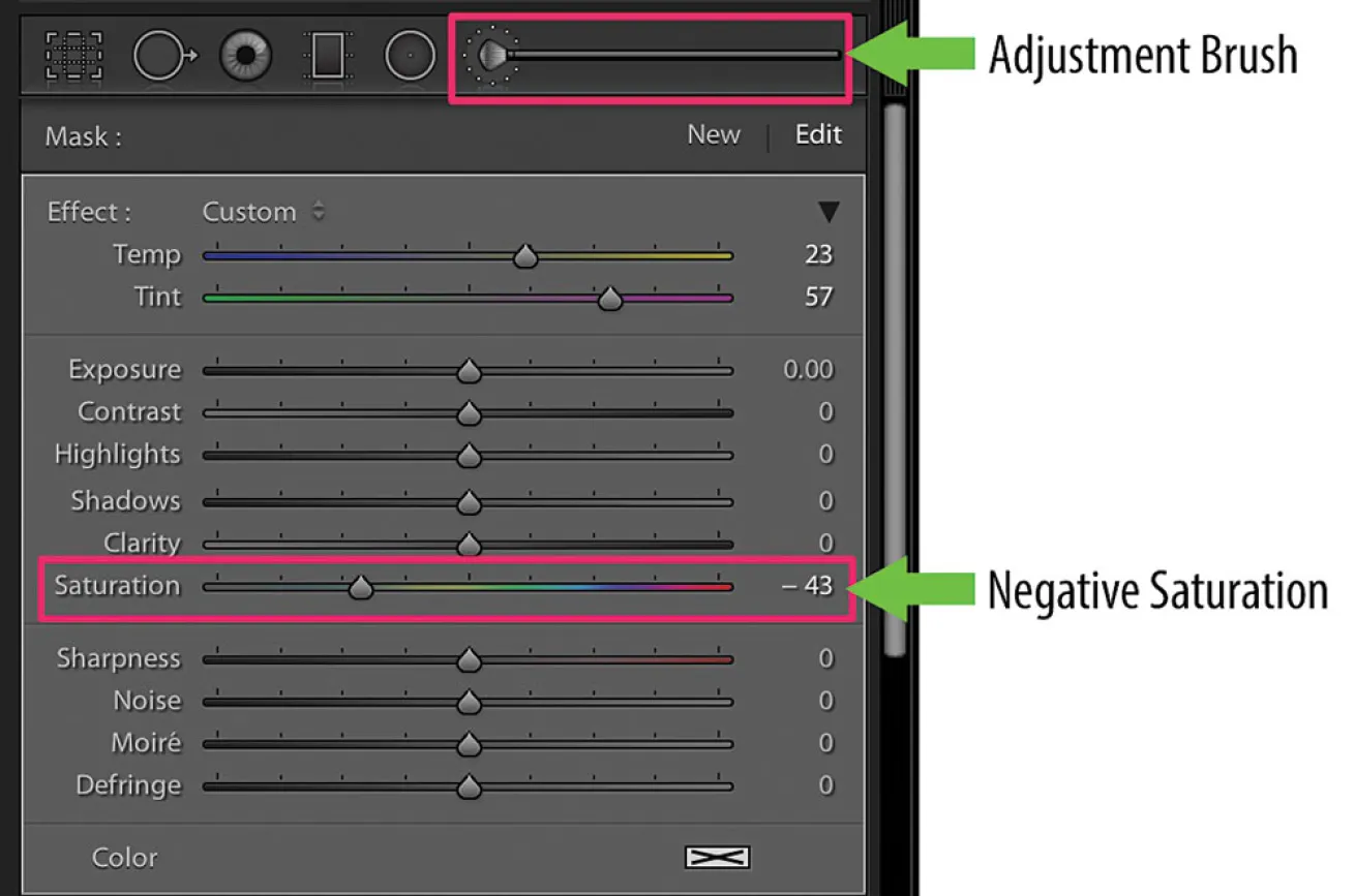 Using the Adjustment Brush and Negative Saturation Panel in Lightroom