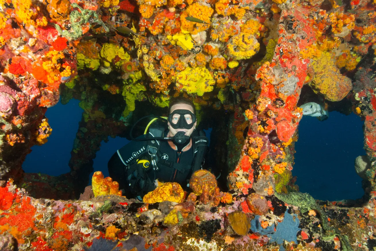 Diver underwater on colorful artificial reef.