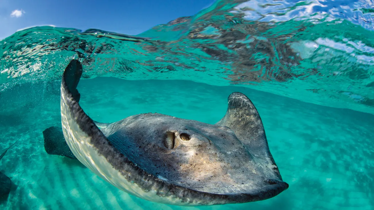 Grand Cayman, Cayman Islands  