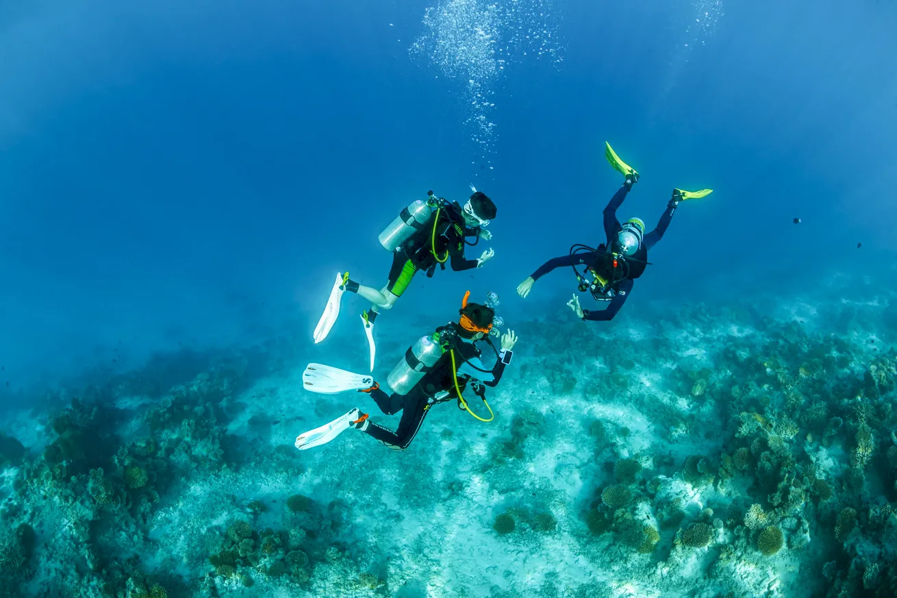 A duo of divers test their skills during a certification course in the Maldives.
