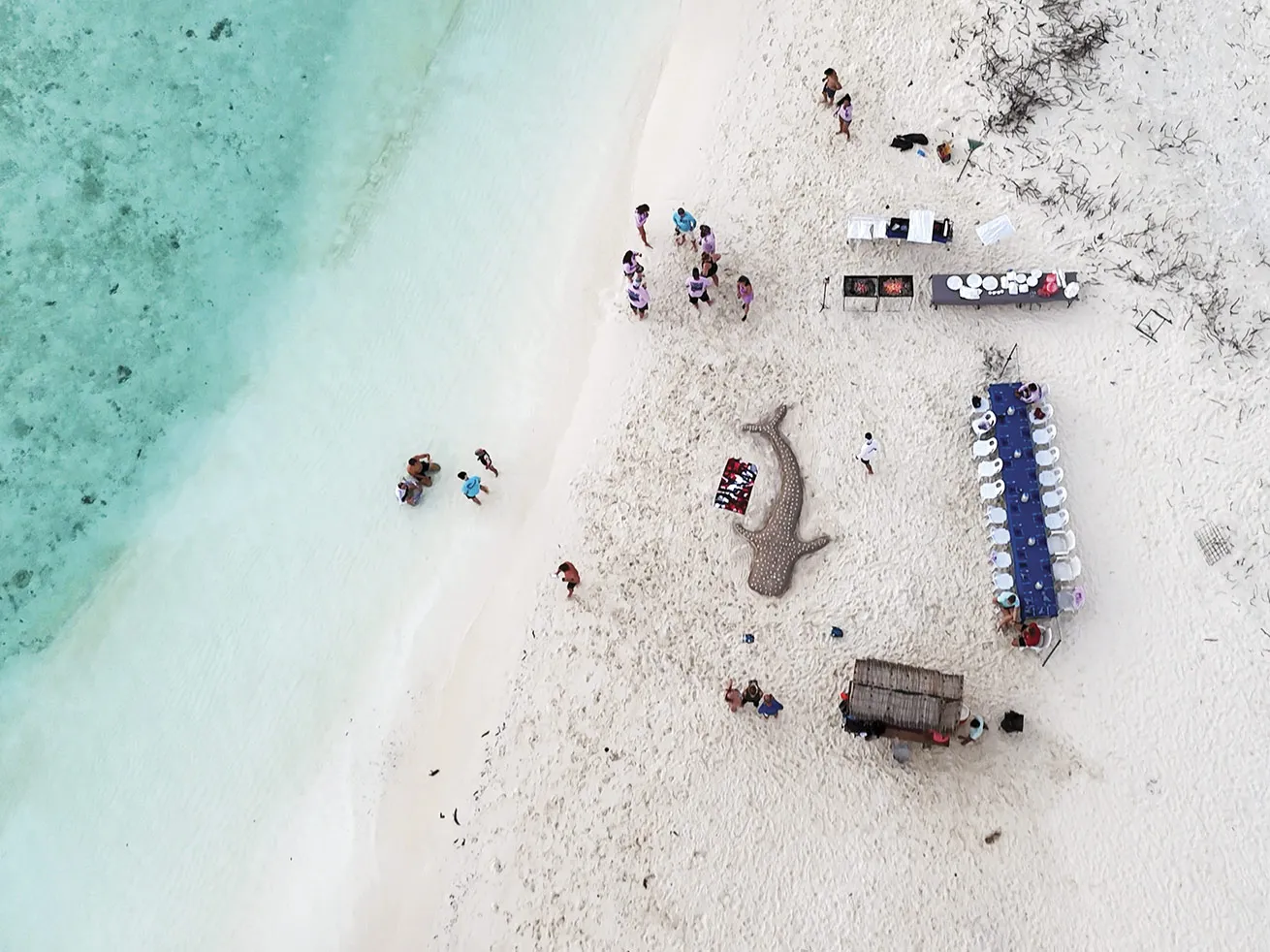 The liveaboard crew prepares a feast on a nearby island on the penultimate night.