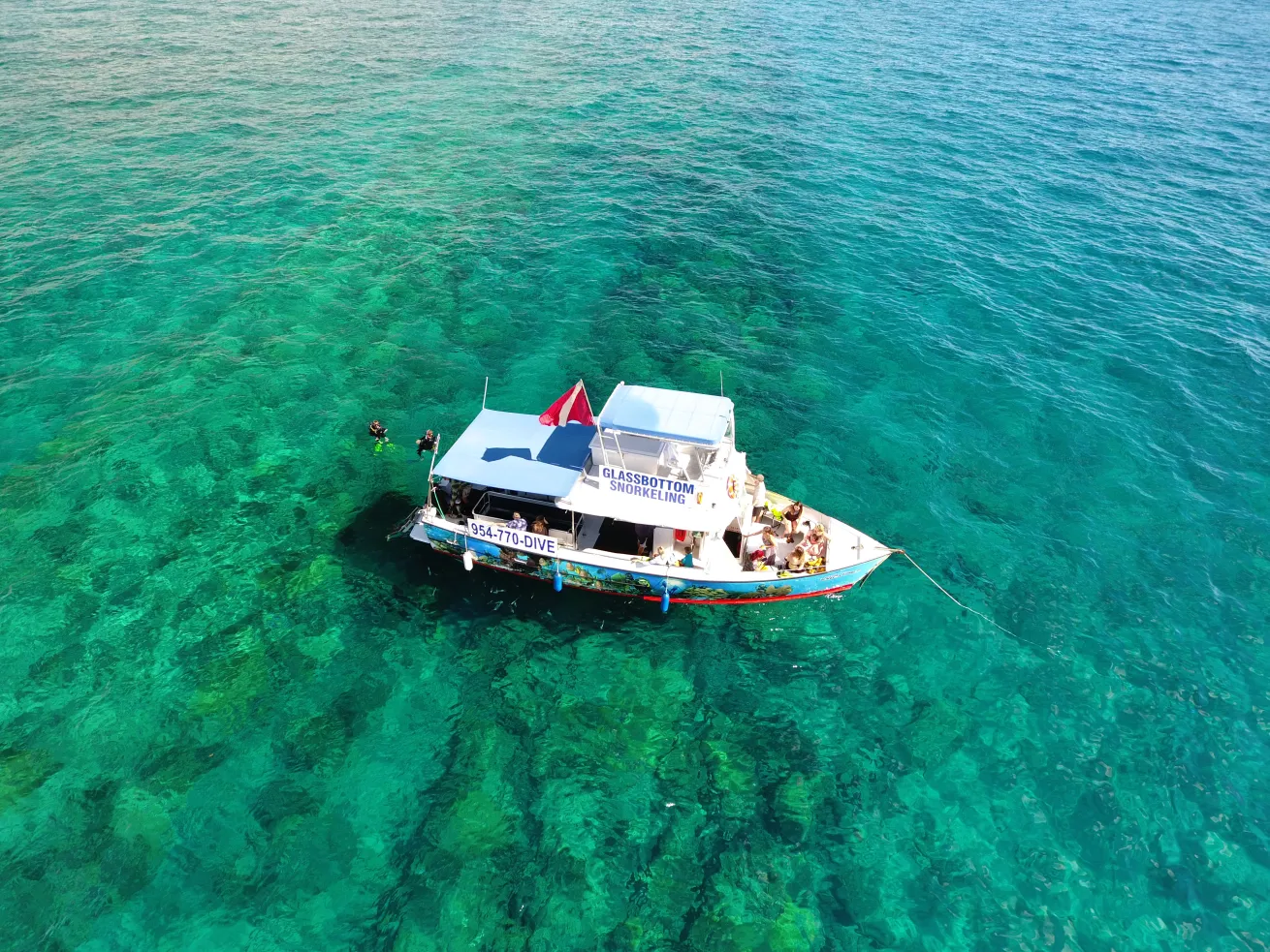 With the award-winning team at Sea Experience as your guide, you can make daily scuba diving or snorkeling excursions to nearby reefs and wrecks.