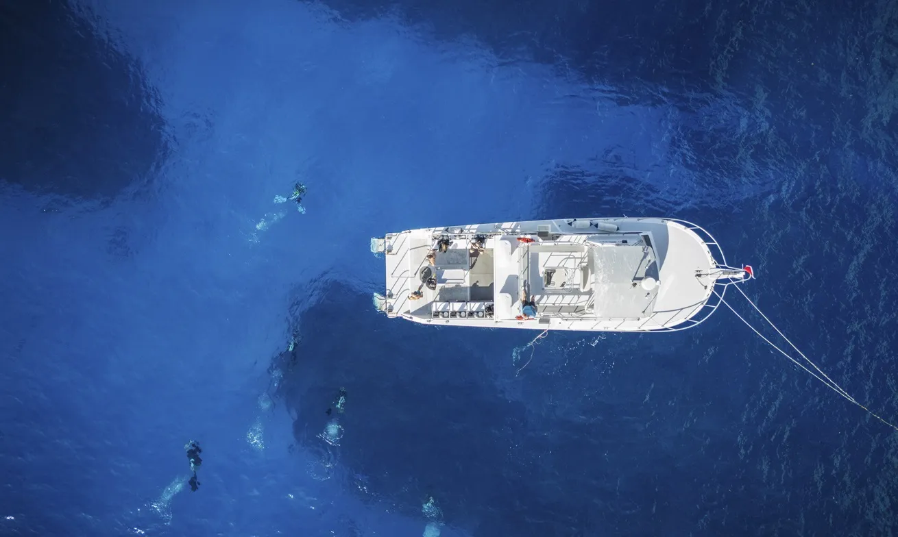 Ocean Frontiers earned top marks in five categories: Best Overall, Quality of Dive Boats, Quality of Rental Gear, Quality of Staff and Attention to Safety.