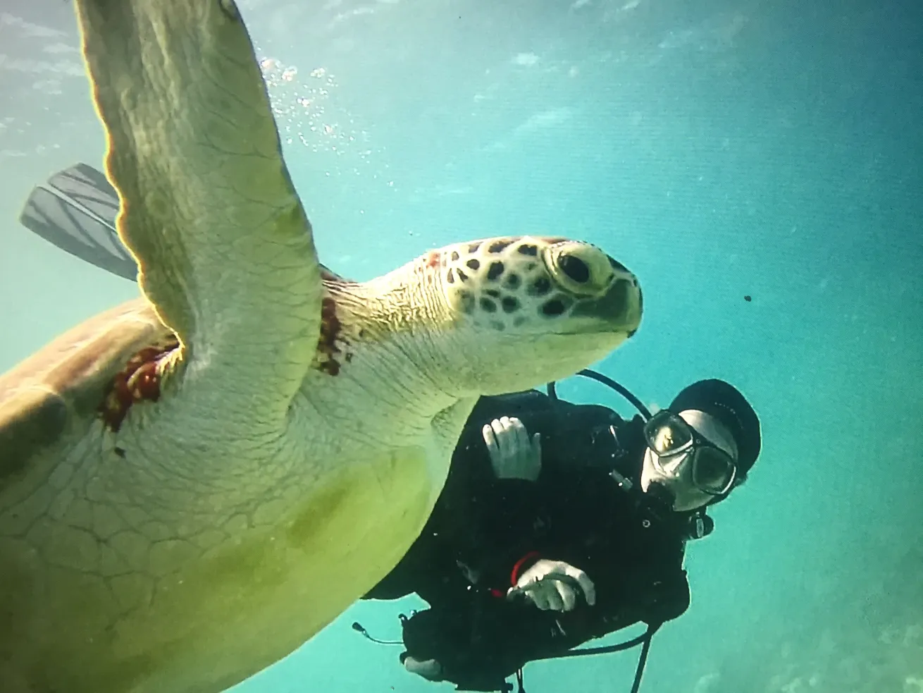Each GAS Divers trip is intimate, with group sizes capped at 24 and some as small as eight, especially on liveaboard trips.