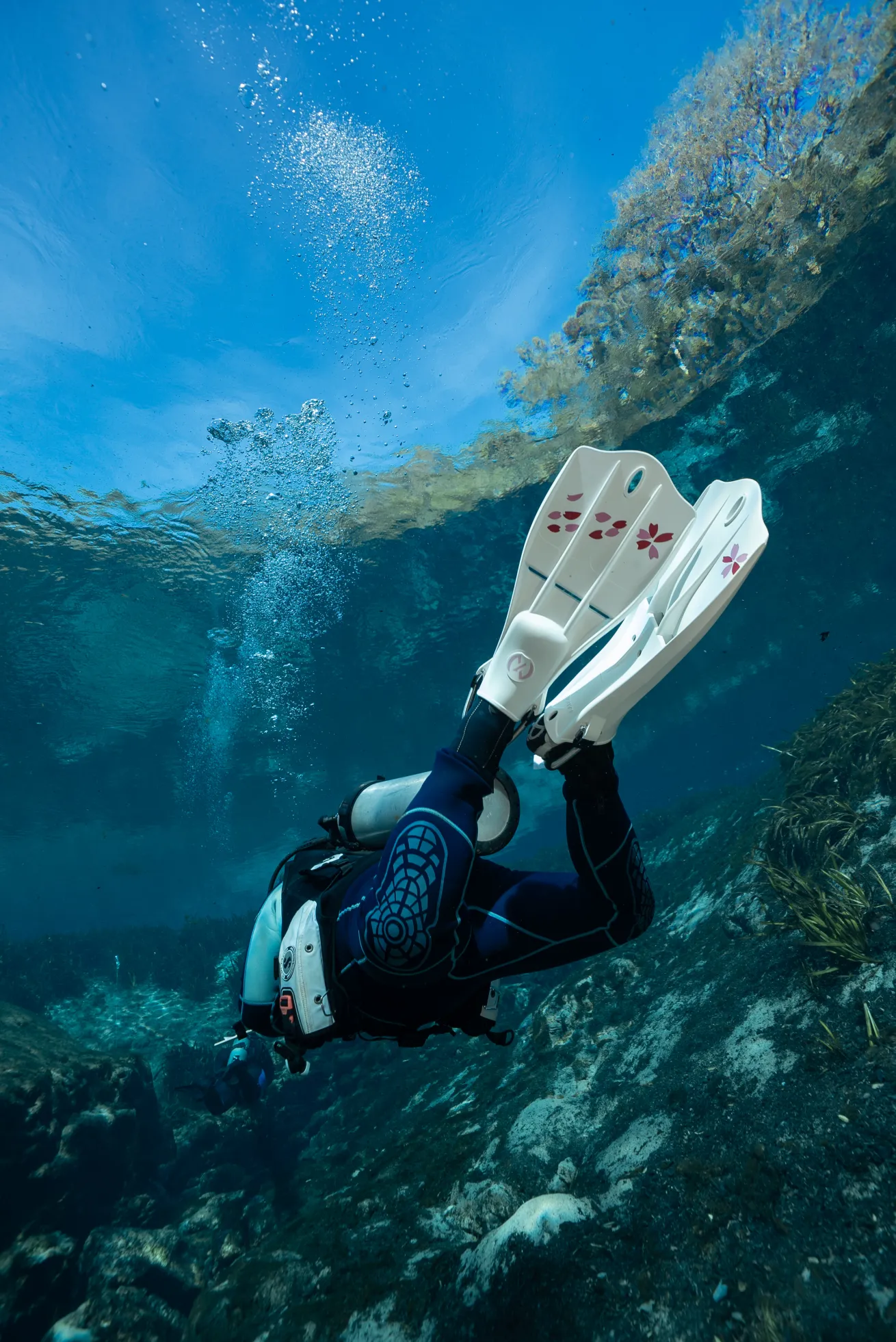 a scuba diver with white tec fins with floral pattern diving in a shallow spring