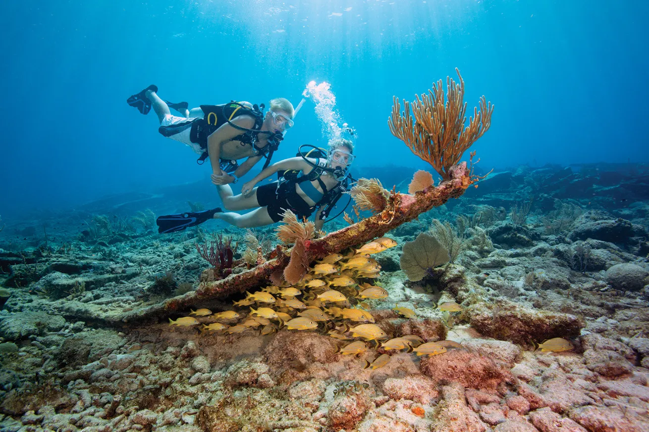 A couple of people scuba diving under water