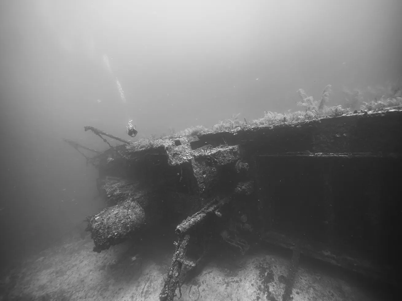 Divers explore the wreck of the 240-foot freighter Jado Trader