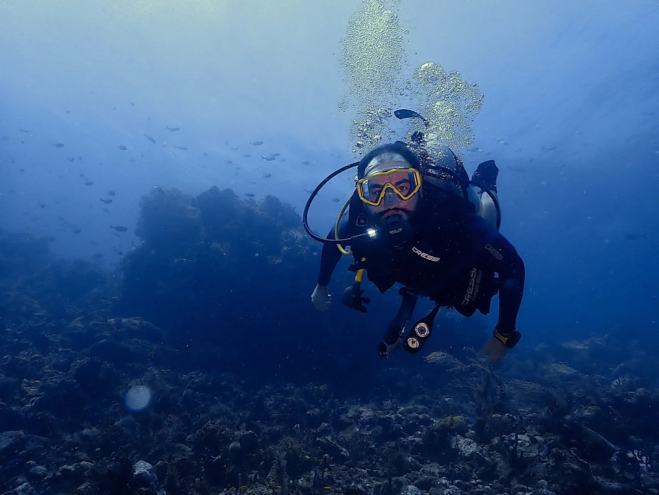 a scuba diver looks curiously at a camera while exploring a coral reef.
