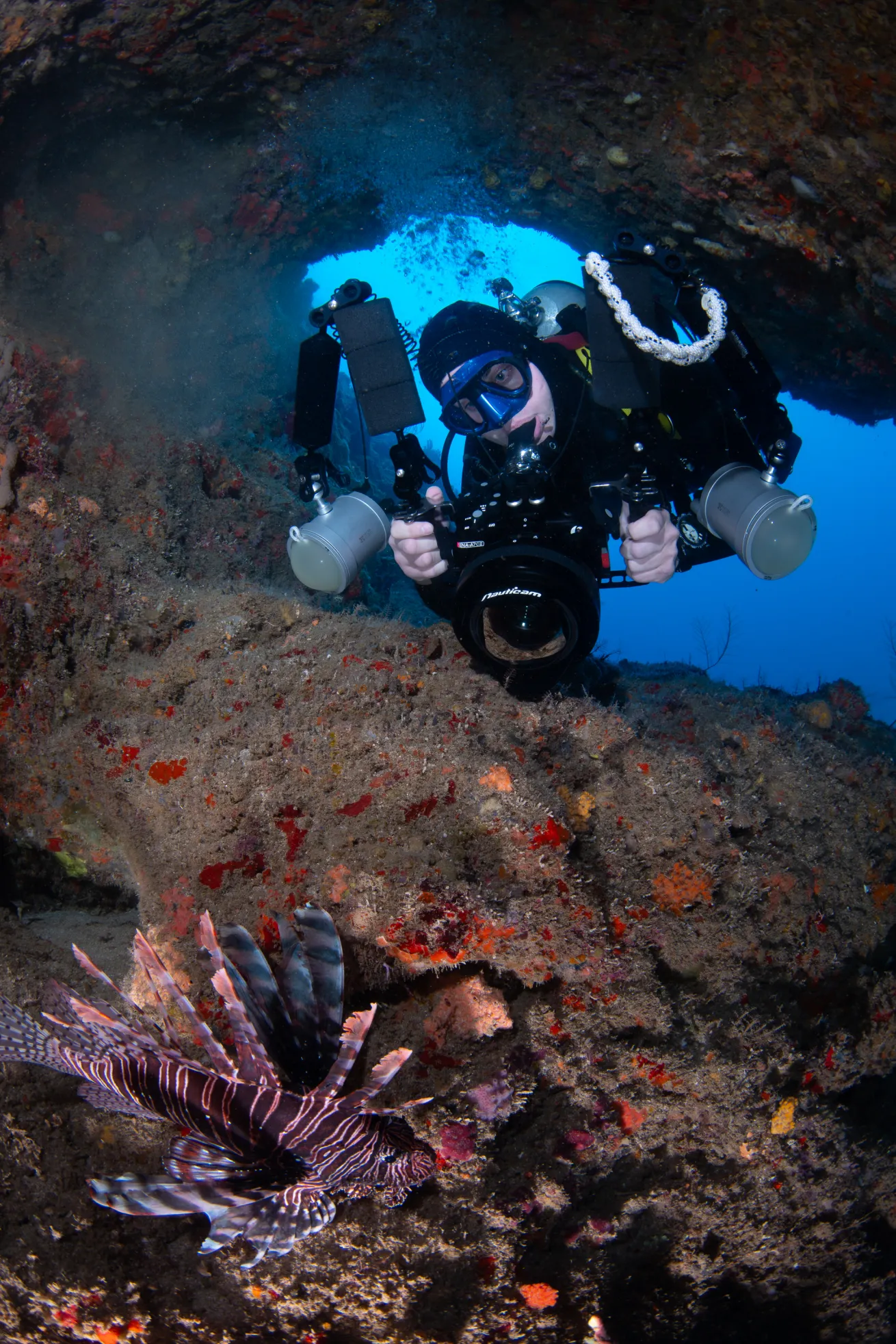 Lionfish remain common on Puerto Rico’s northwest reefs, and are numerous in the area's undersea caves.