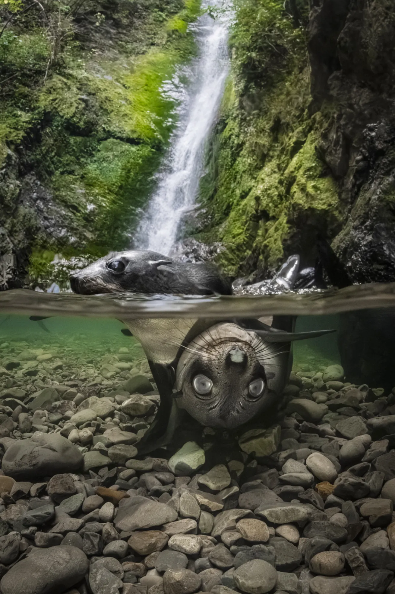 Location: New Zealand