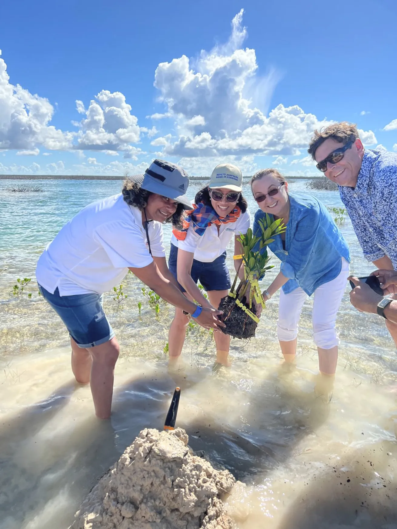 Transplanting seedlings by the shore.
