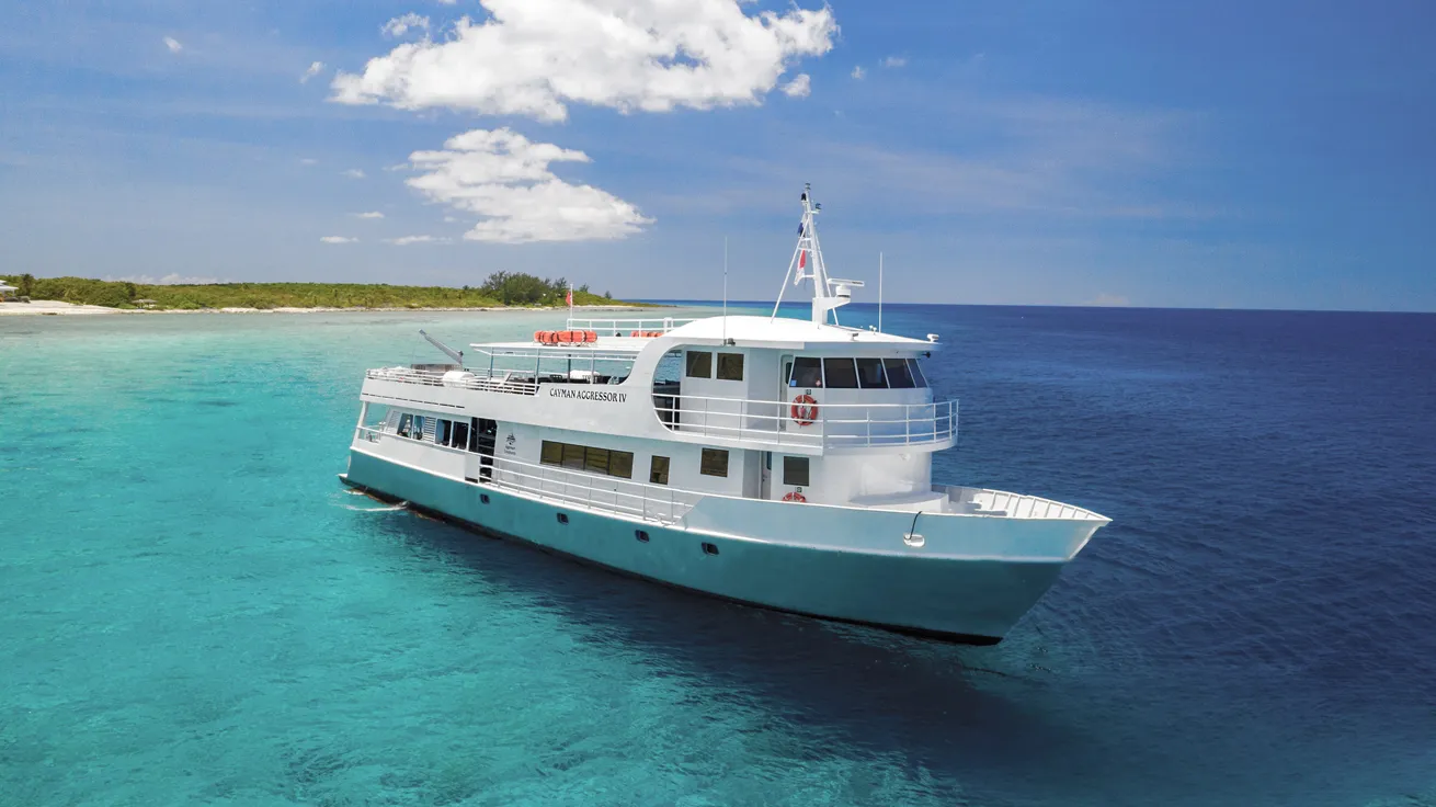 Guests can hone their photography skills aboard *Cayman Aggressor IV*.