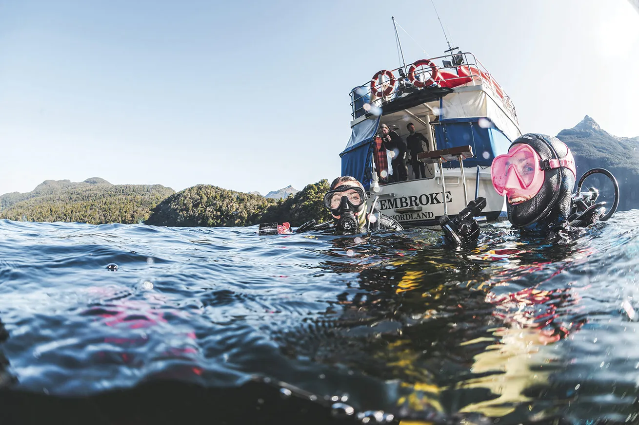 Surfacing after a dive.

