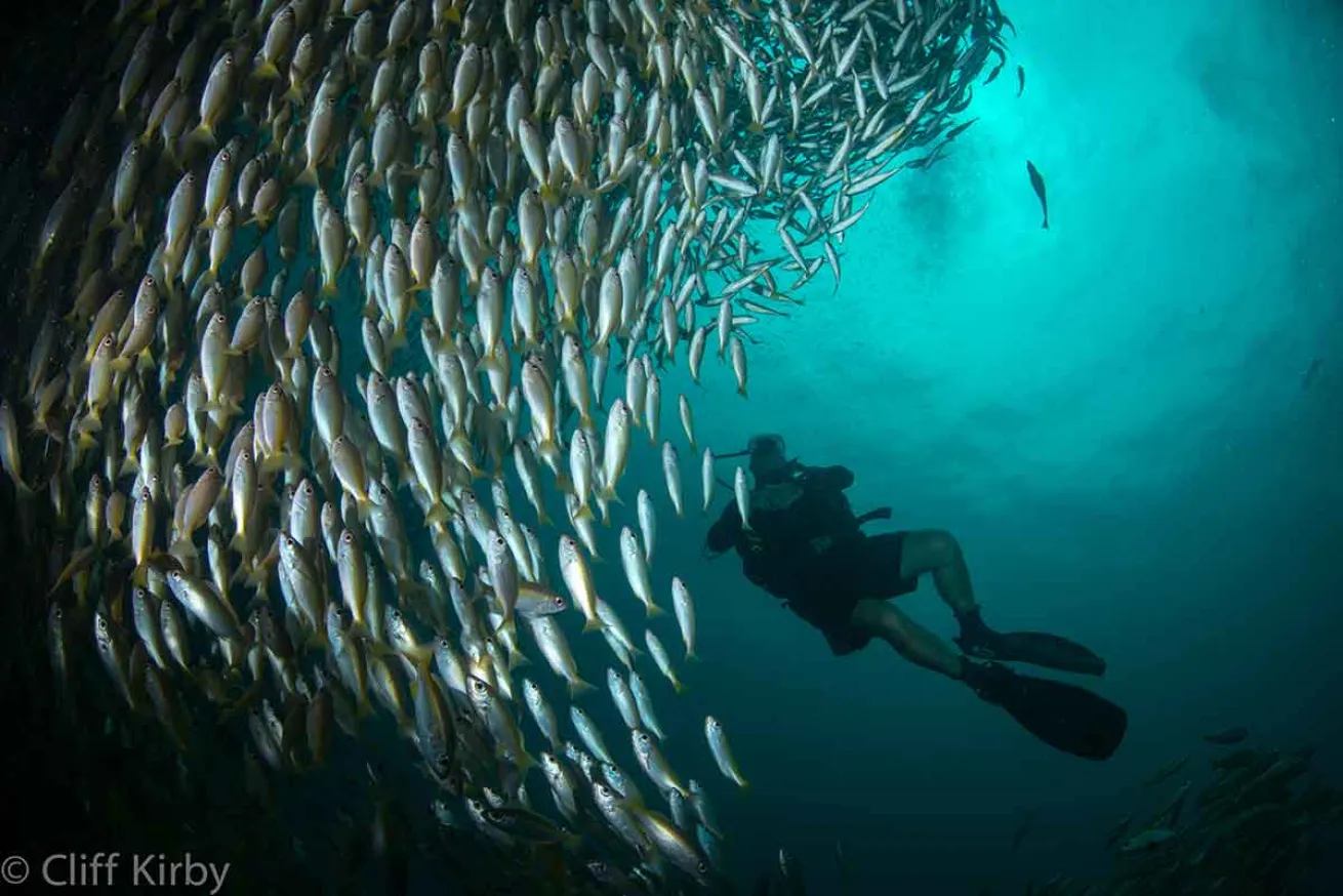 scuba diving Thailand