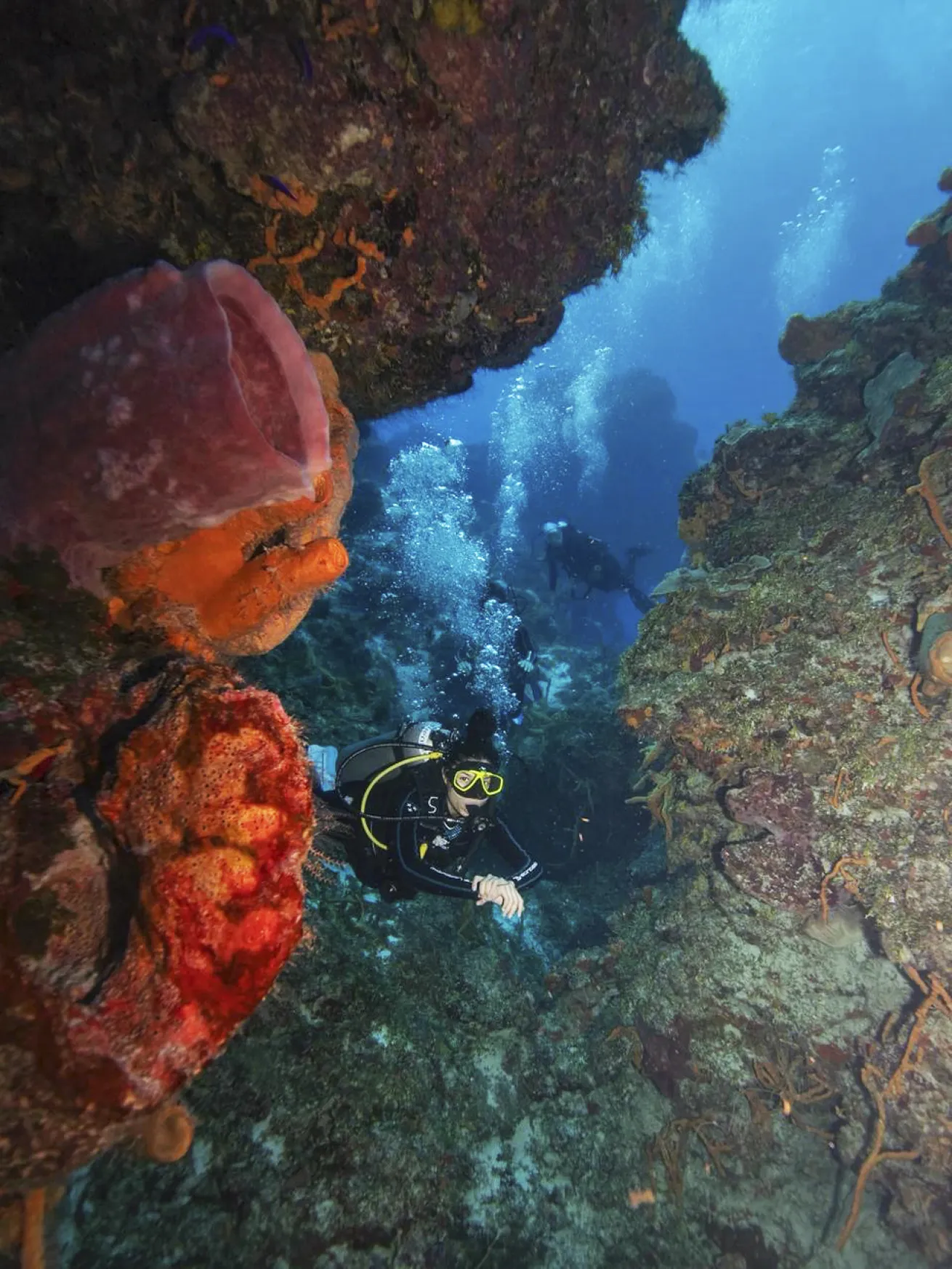 Divers navigate obstacles at the Palancar Caves dive site