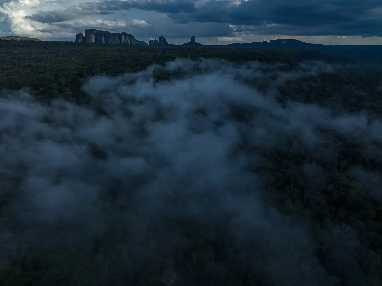 The National Geographic and Rolex Perpetual Planet Amazon Expedition showcases the Amazon River Basin as a vital, interconnected aquatic system.