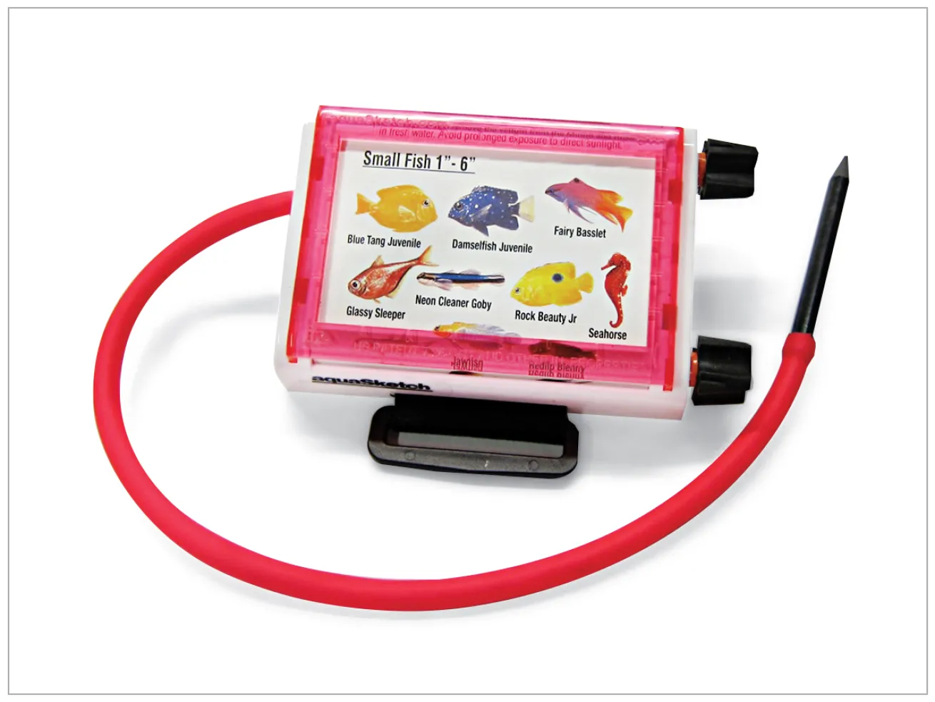 aquaSketch minno dive slate