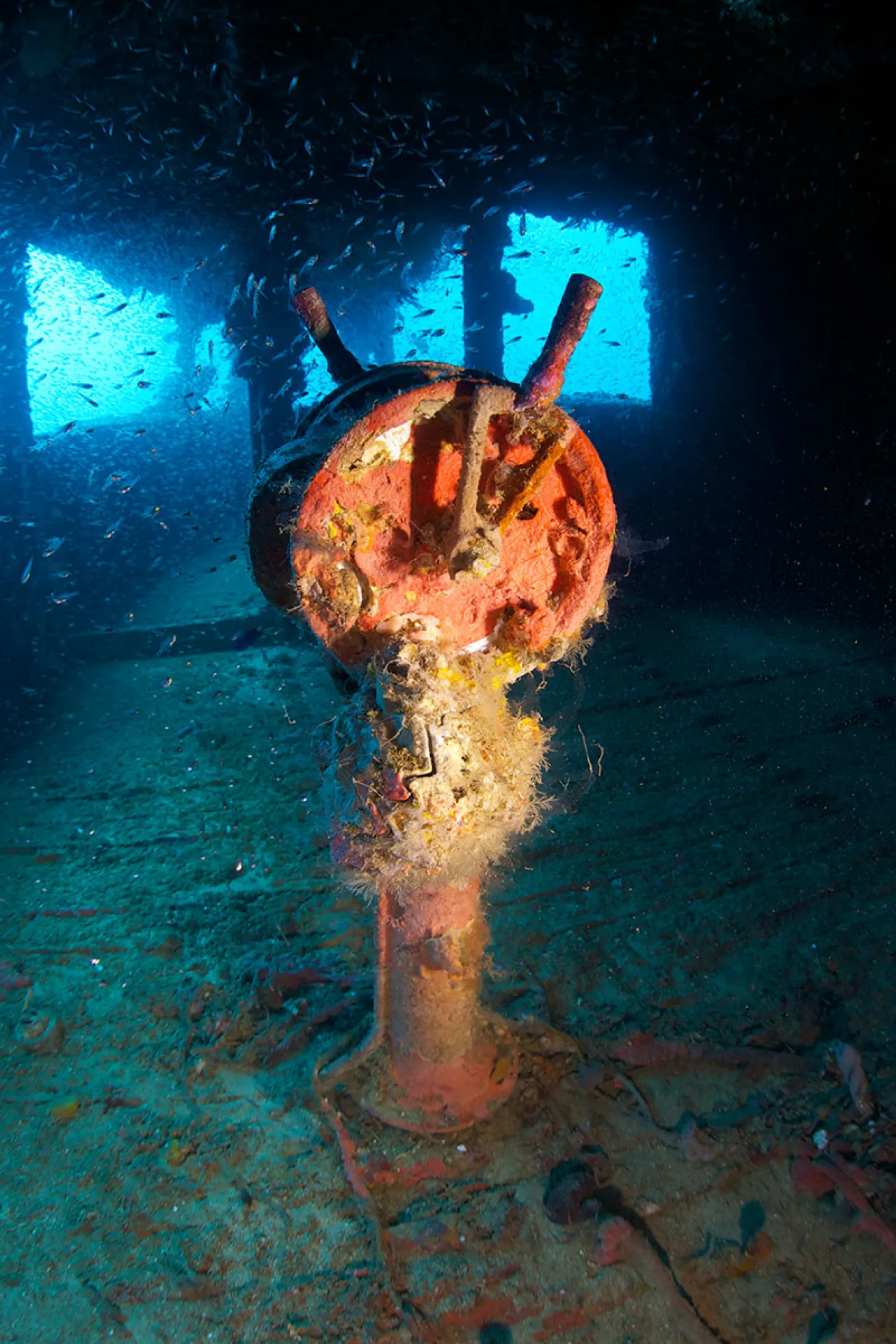 wrecks of Chuuk Lagoon