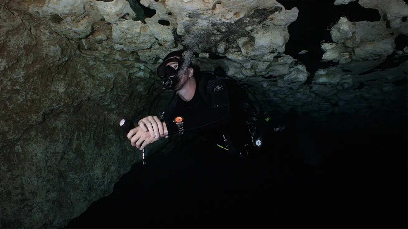 dive watches