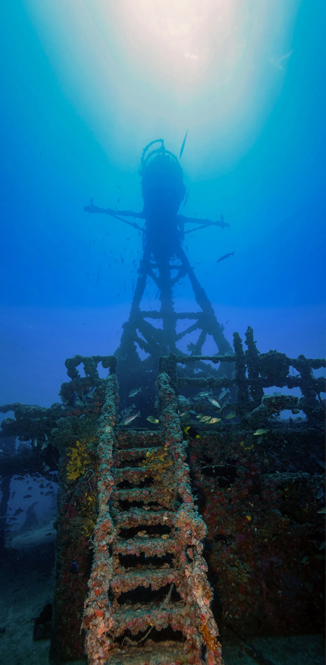 The *Duane*, a former U.S. Coast Guard cutter, was turned into an artificial reef in 1987 near Key Largo.