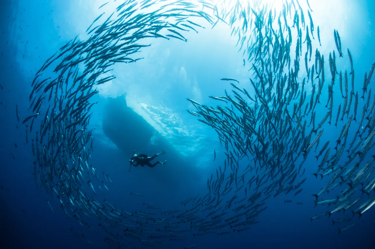 At Global Adventures for Scuba Divers, we believe that travel should be more than just a trip.