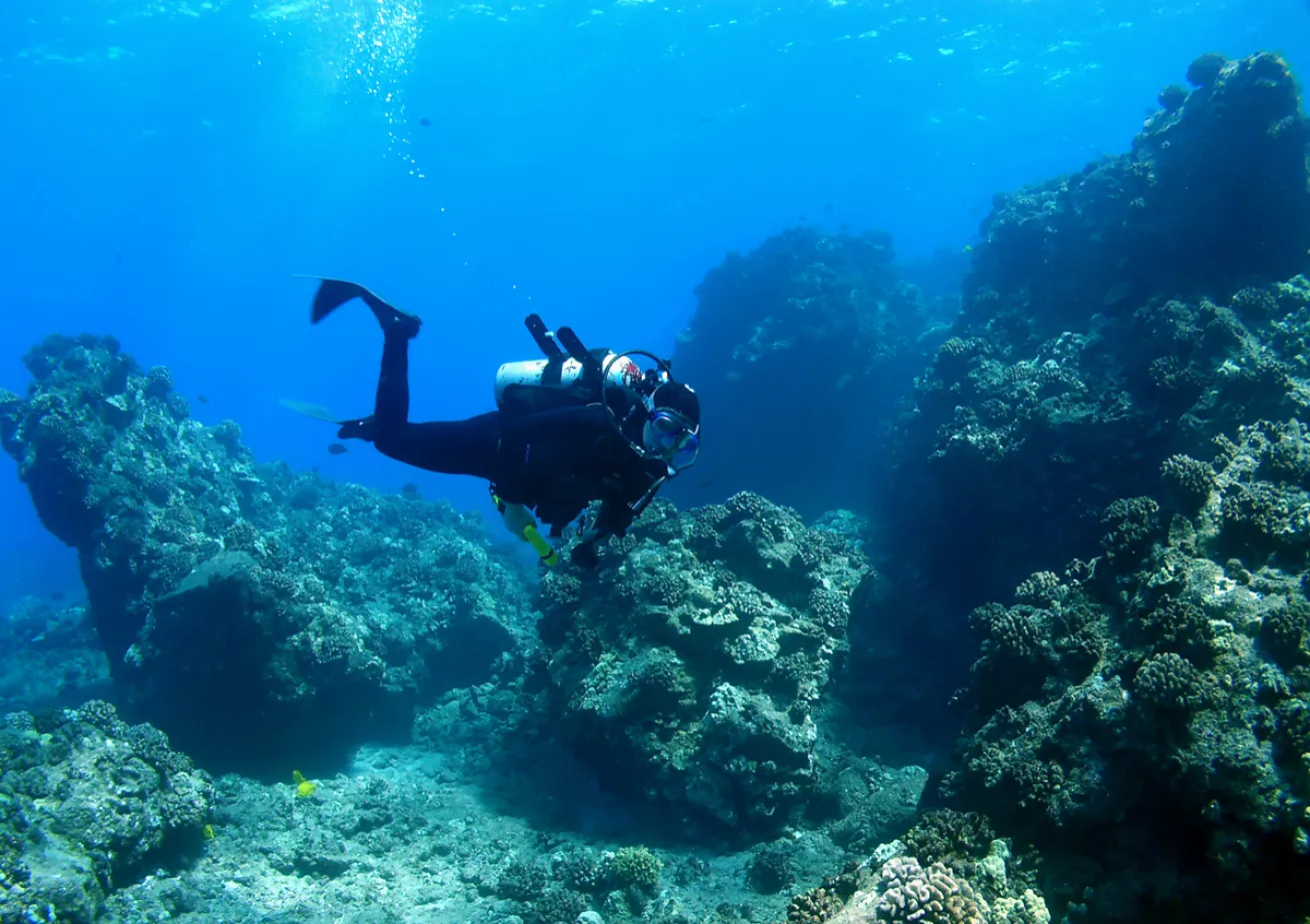 wall dive maui hawaii