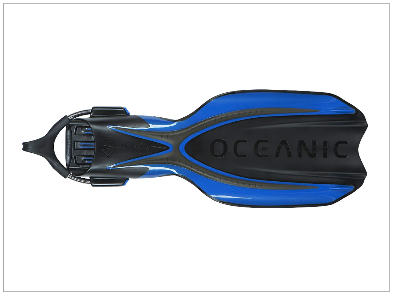 Oceanic Manta Ray