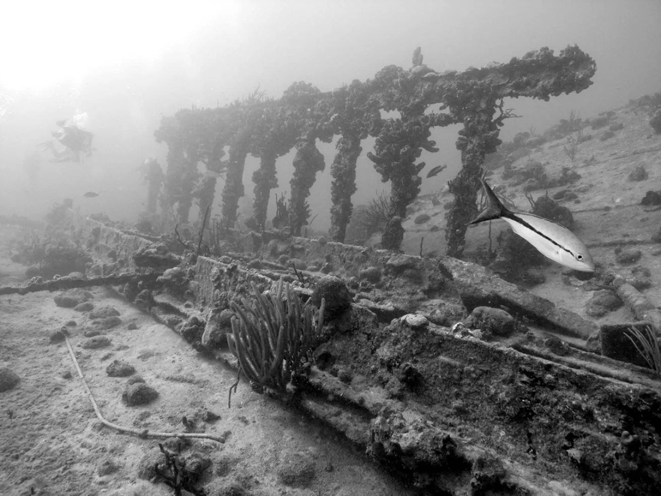 shipwreck RMS Rhone 