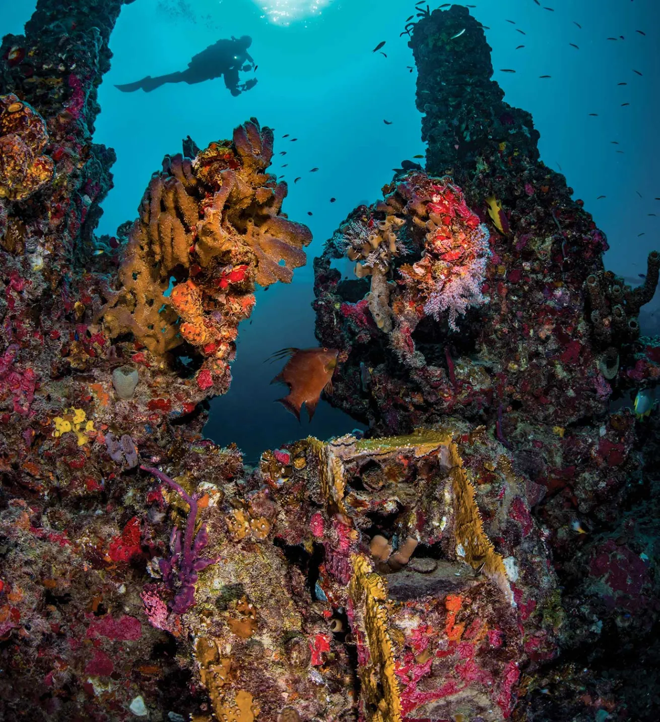 Exploring shipwreck