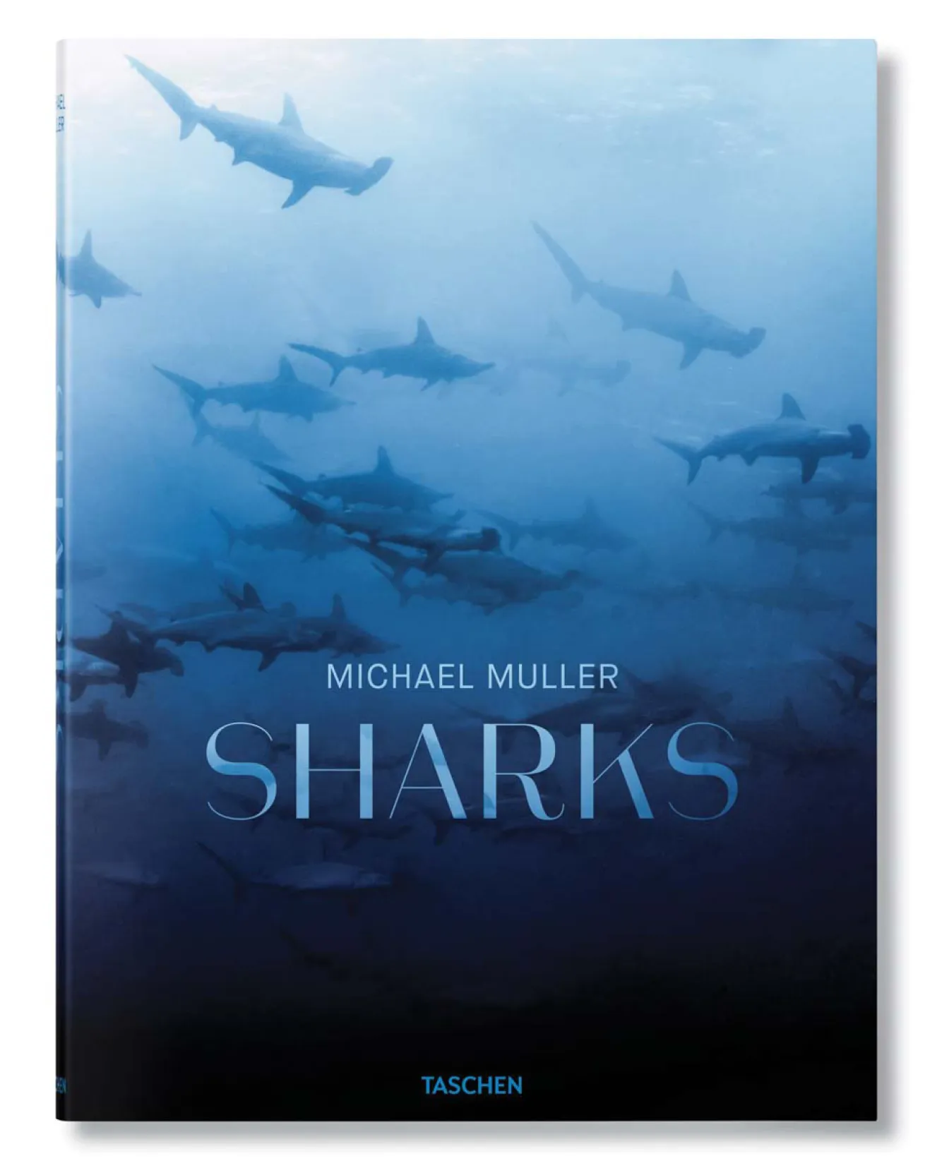 Sharks book Michael Muller