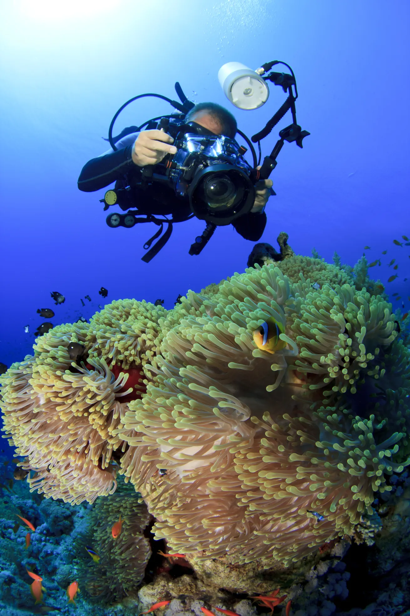 taking photos underwater