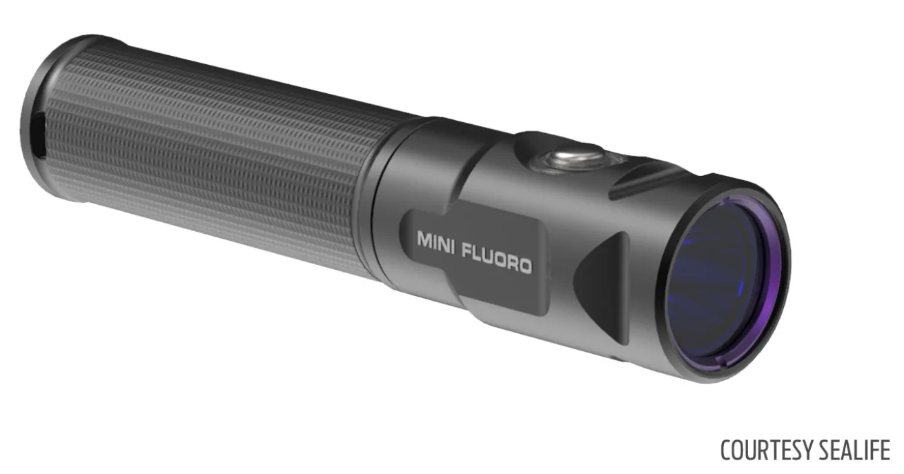 SL655 Sea Dragon Mini Fluoro Dive Light