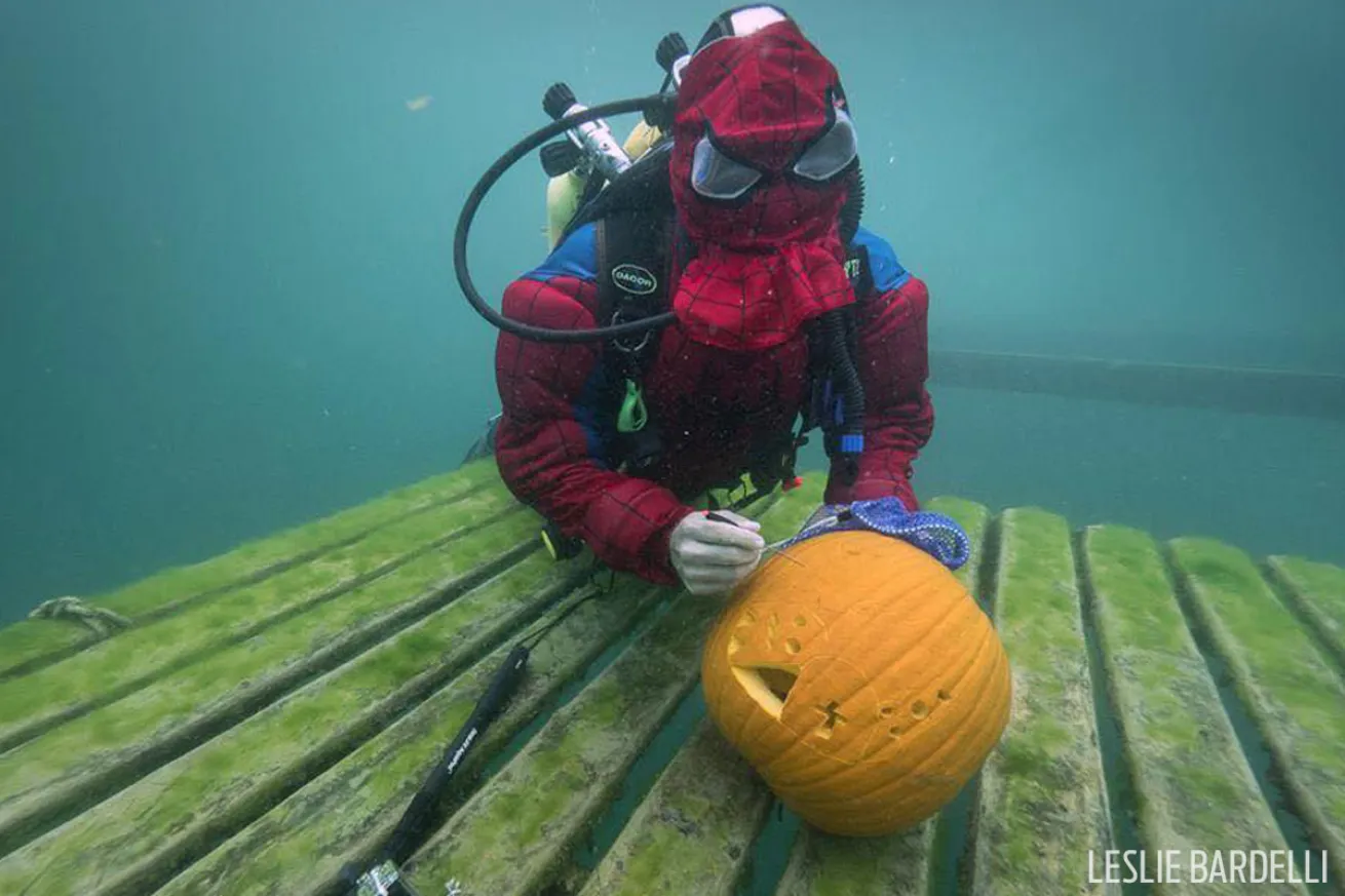 underwater pumpkin carving 