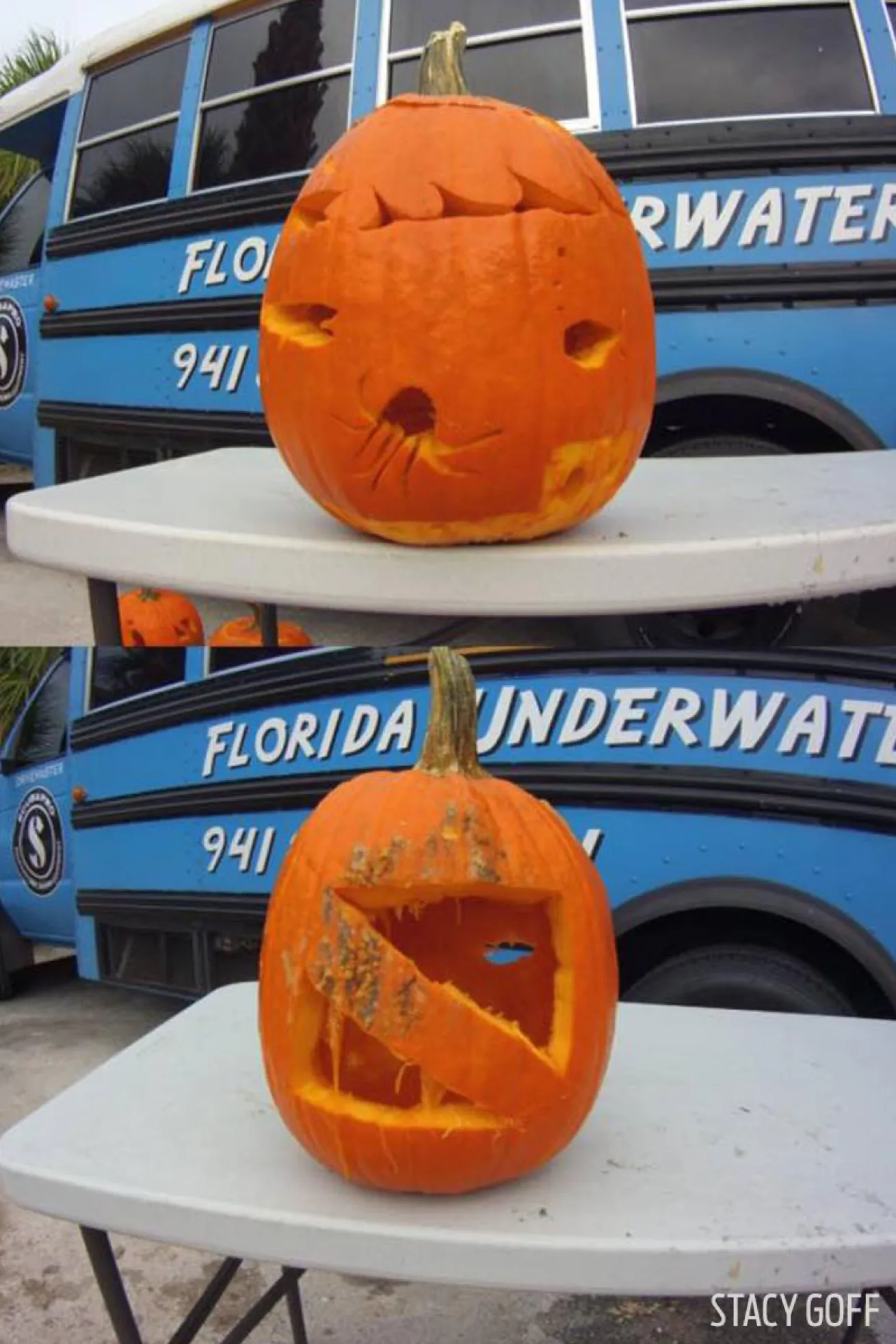 underwater pumpkin carving 