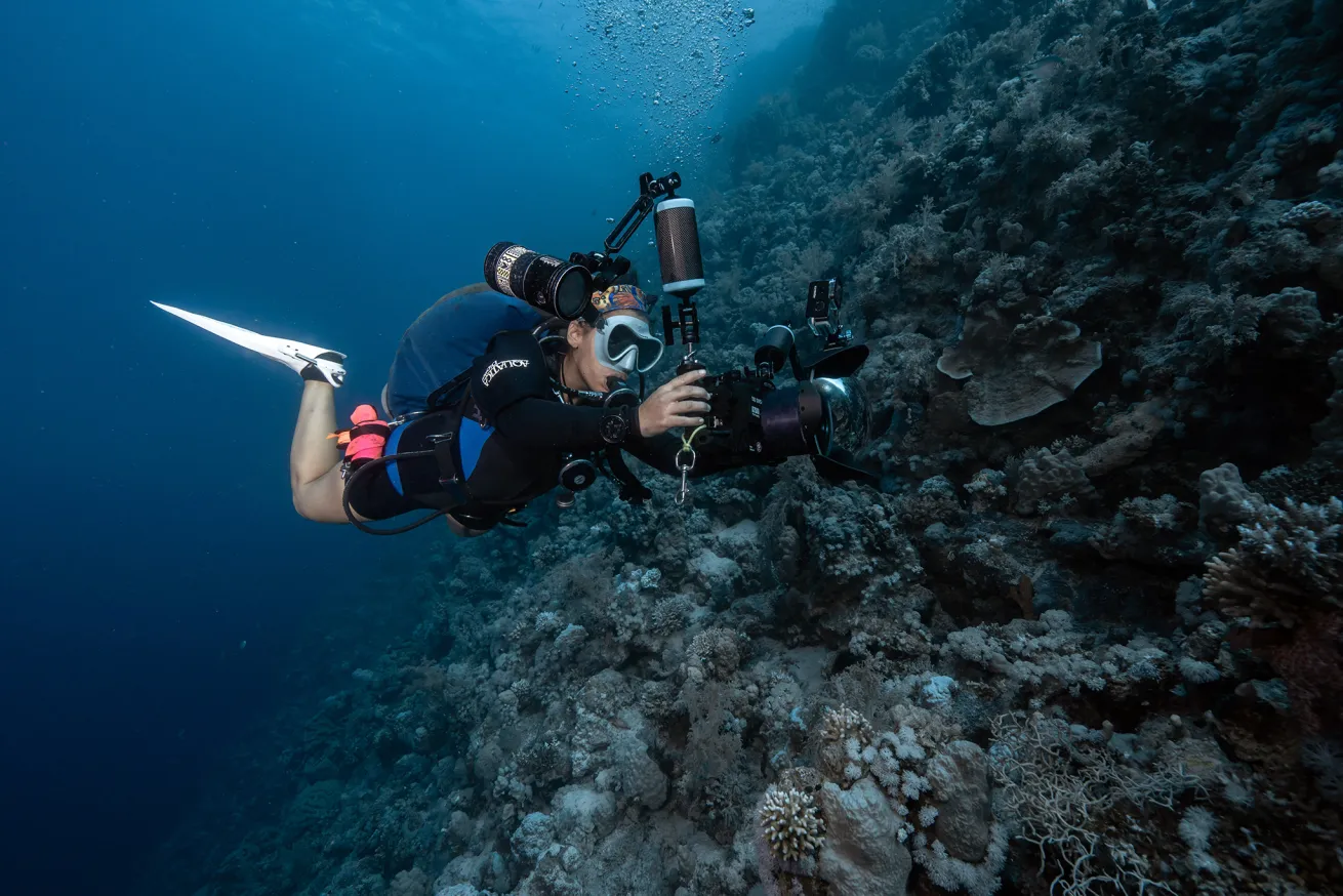 a scuba diver with professional video camera and underwater dive video lights