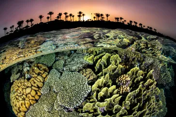 10 Tips for Winning Photo Contests