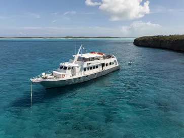 Belize Aggressor V