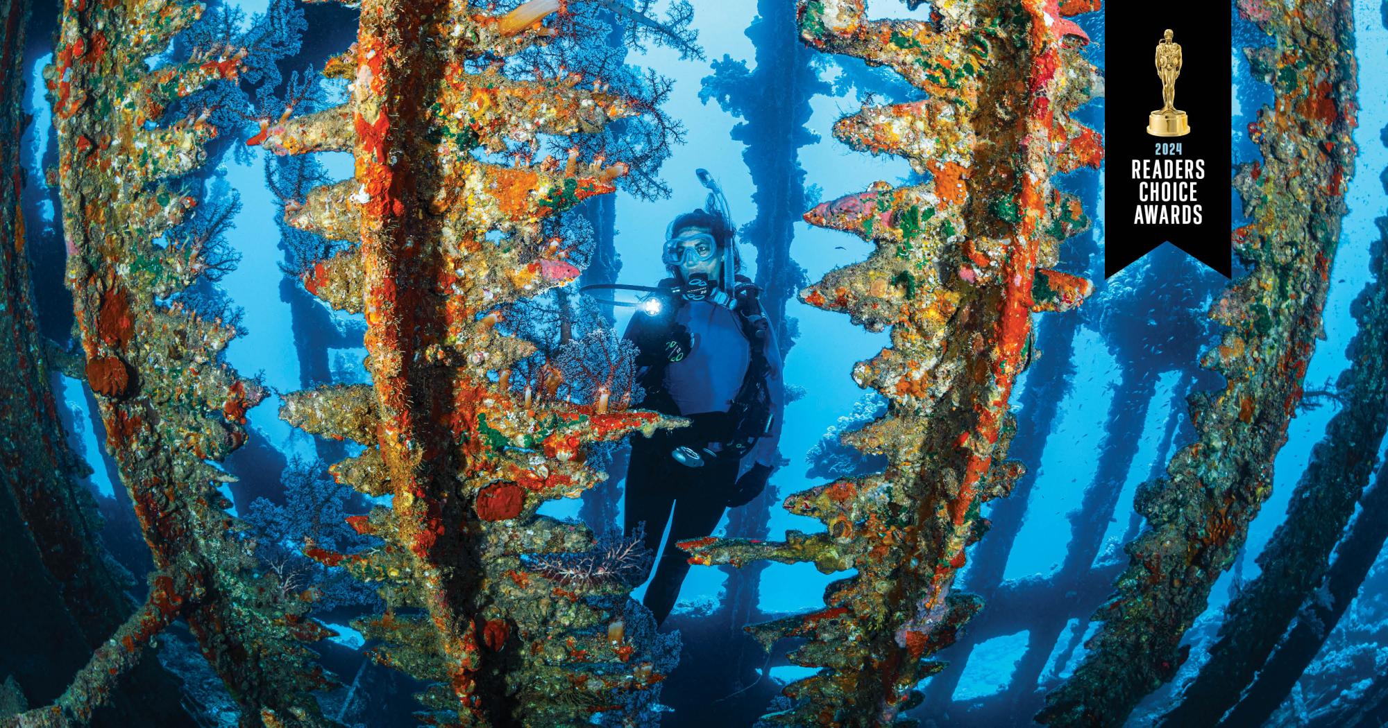 THE 10 BEST Orlando Scuba Diving & Snorkeling (Updated 2024)