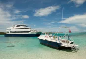 Exterior with Sea Dog   .jpg.webp