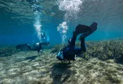 KPaterakis_Fins-.jpg.webp