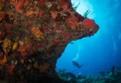 Statia_shutterstock__lr.jpg.webp