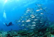 indonesia_shutterstock_.jpg.webp