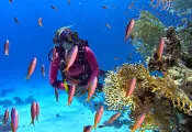 redsea_edit.jpg.webp