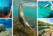 worldsbestdiving   .jpg.webp