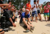 TurtleConservation.ScubaDivingMag.June.jpg.webp