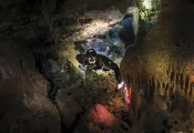 bahamas-.jpg.webp